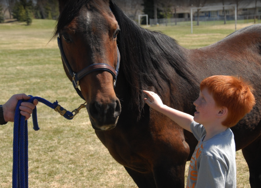 Horse therapy for children